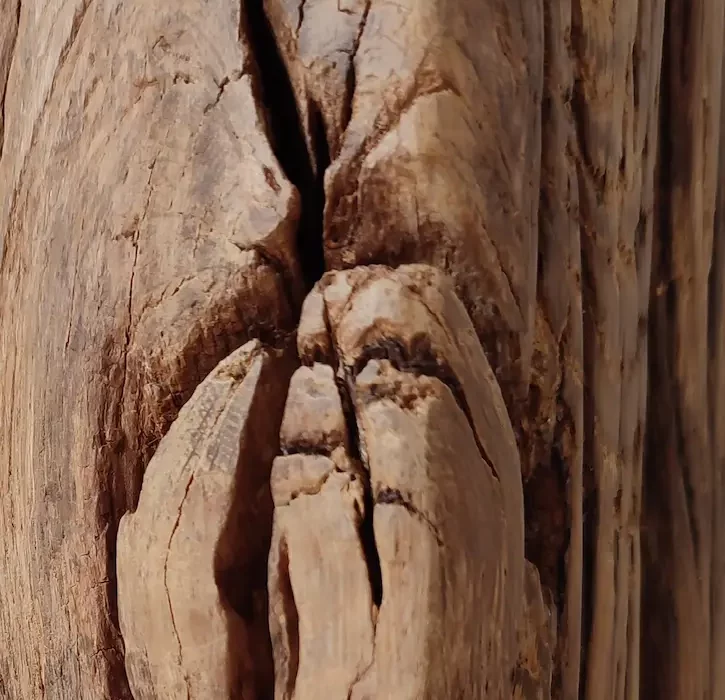 gros plan d'une poutre en chêne avec bois fendu