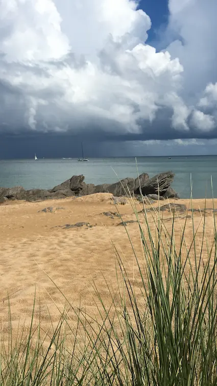 plage déserte des Conches à l'ile d'Yeu. Ciel orageux et mer couleur glaz. Sable jaune et herbes sauvages au premier plan