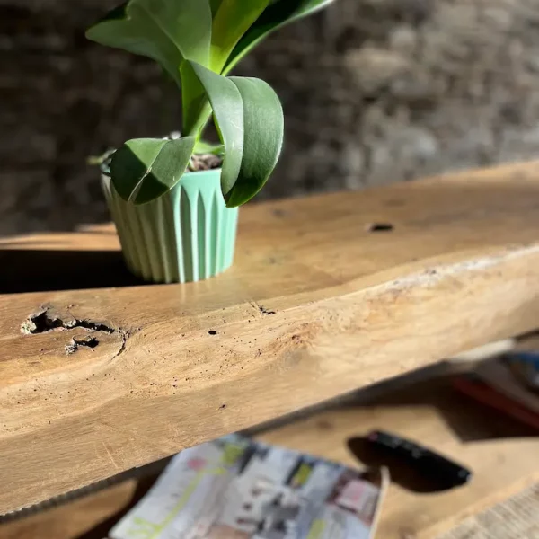 plateau d'un établi ancien en bois massif entièrement restauré. Une plante verte est posée sur le dessus