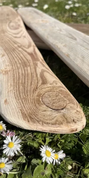 planche de bois flotté prise en photo sur l'herbe verte. Paquerettes au premier plan